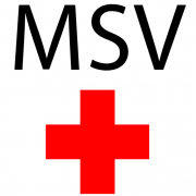 (c) Msv-aargausued.ch
